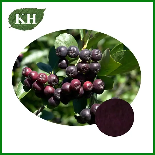 Black Chokeberry Aronia Powder — ZAC Biotech Co., Ltd.
